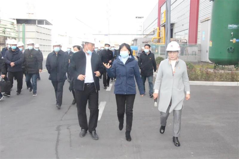 鞏義市“兩新”黨建觀摩團到明泰鋁業觀摩指導黨建工作 鞏義市“兩新”黨建觀摩團到明泰鋁業觀摩指導黨建工作